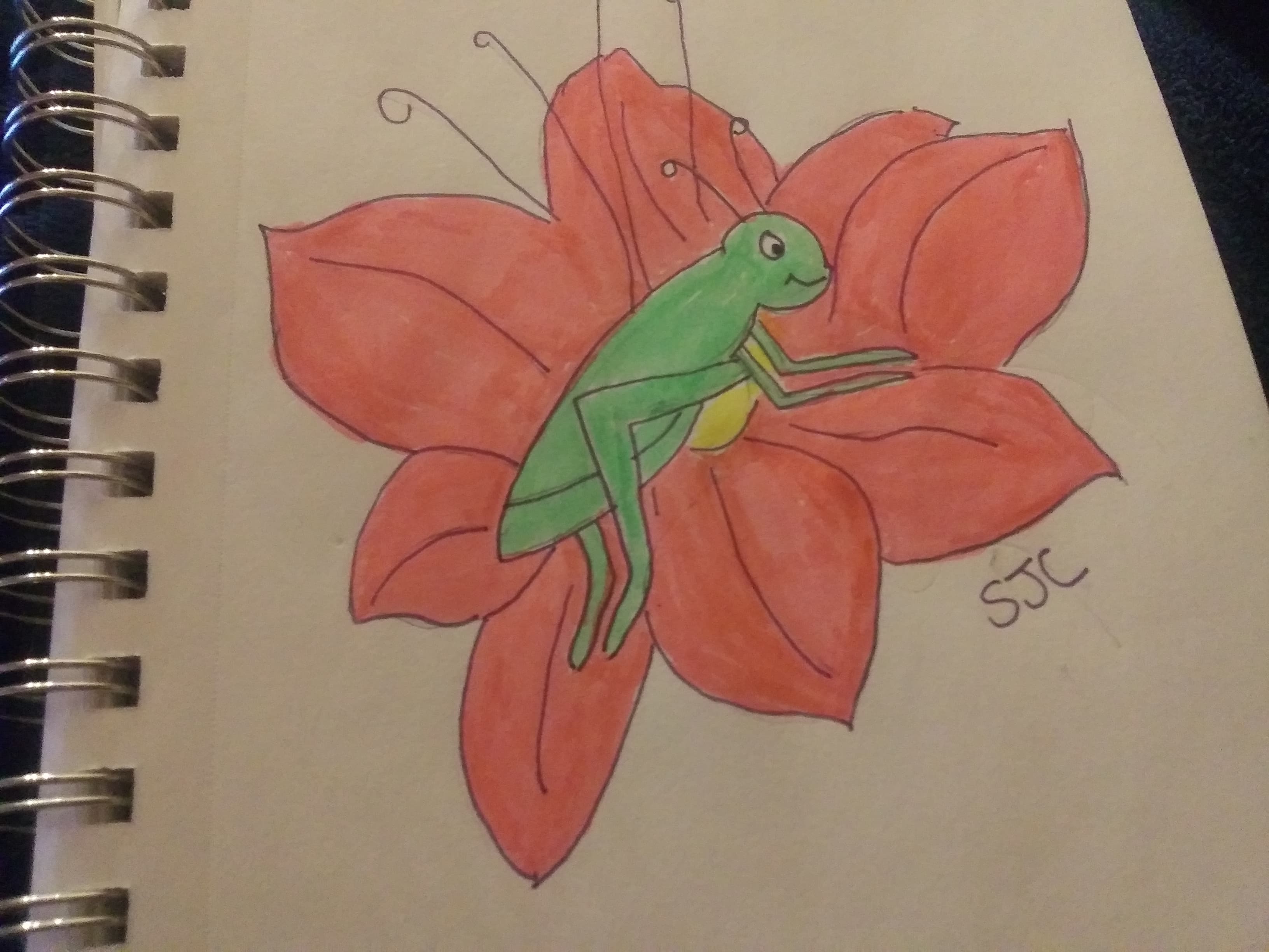 Cricket Doodle, doodlewashMay2021 Susan Joy Clark